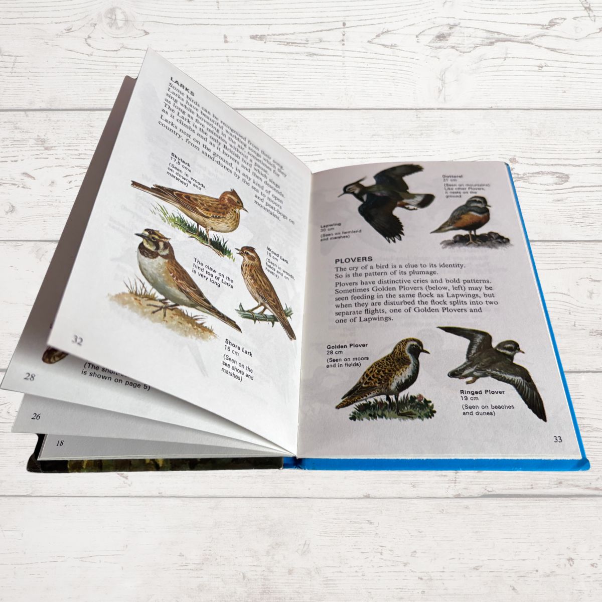 An open hardcover book showing illustrated bird pages with text, photographed on a white wood surface. The book appears to be a nature or bird reference book, with multiple bird species depicted on the spread.