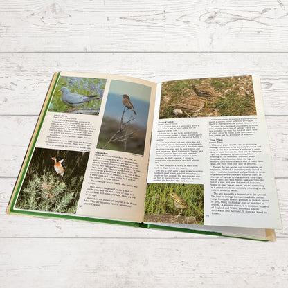 Open book with pages showing images and descriptions of birds on a wooden surface