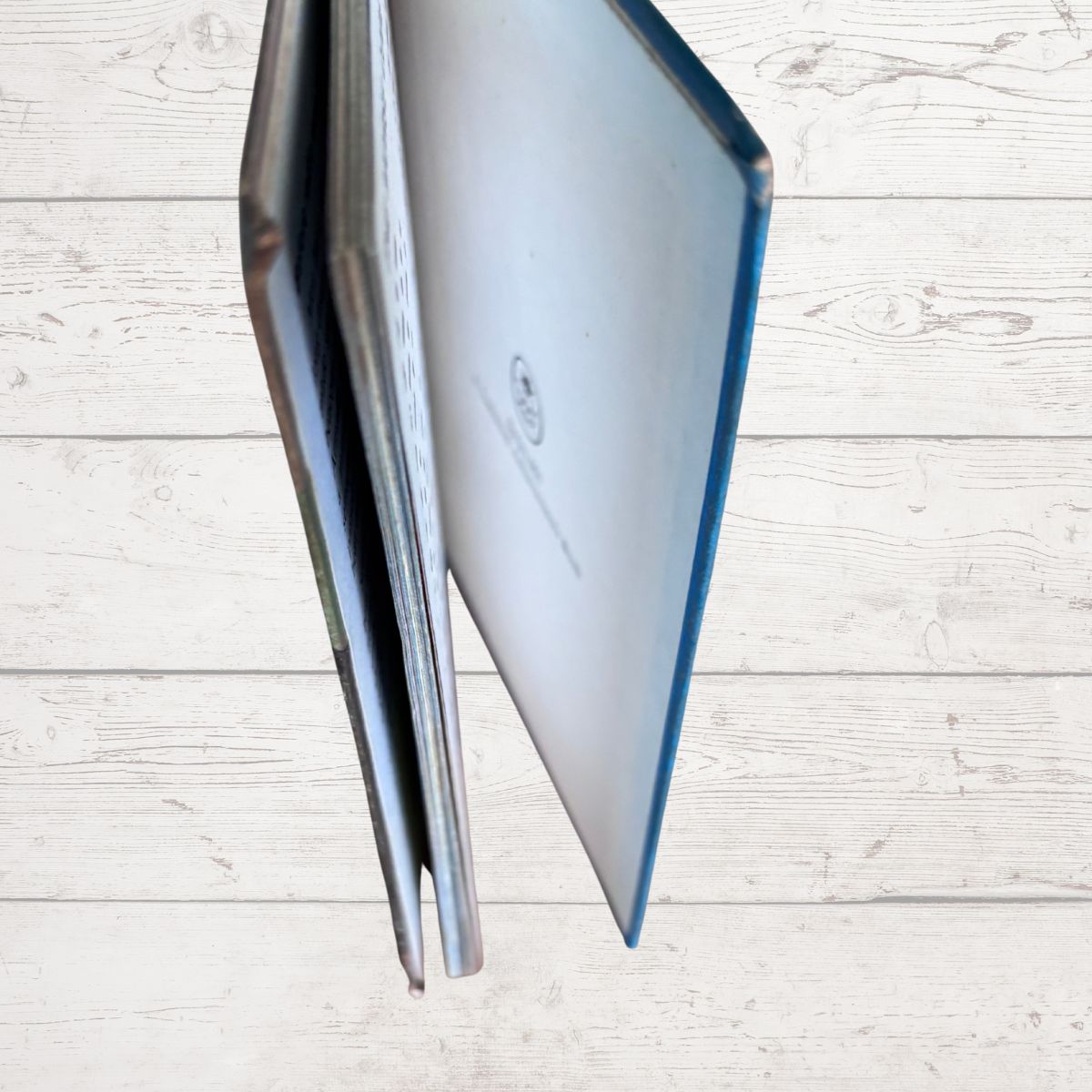 A book shown standing open against a light whitewashed wood plank background.
