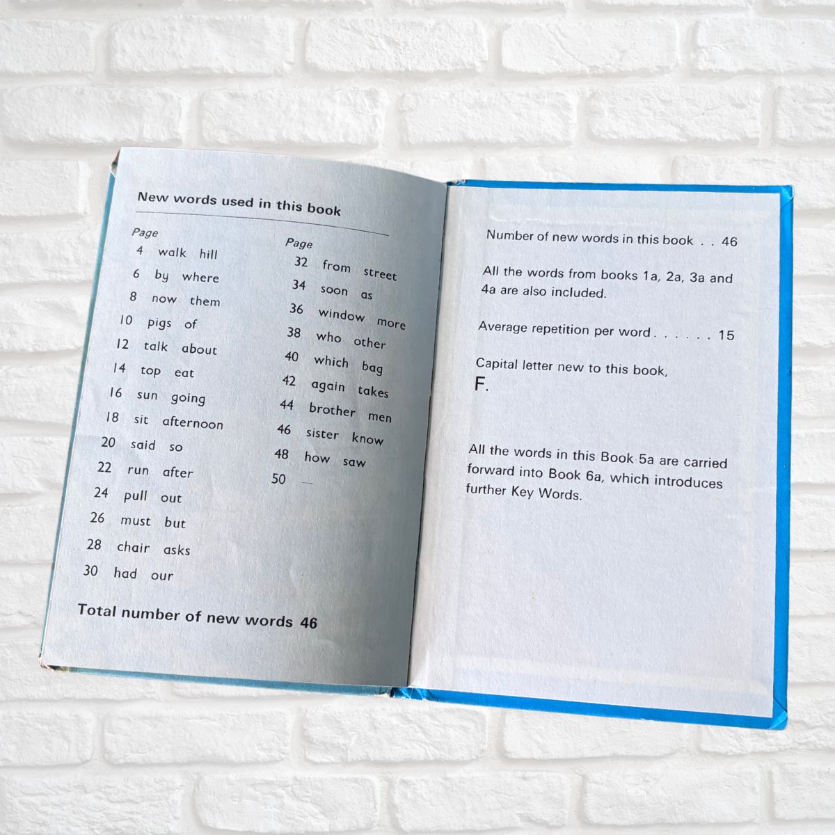 Open book showing a list of new words used in the book on a white brick wall background