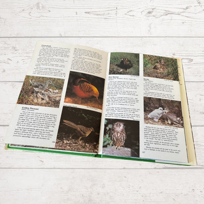 Open book with wildlife photographs and text on a wooden surface