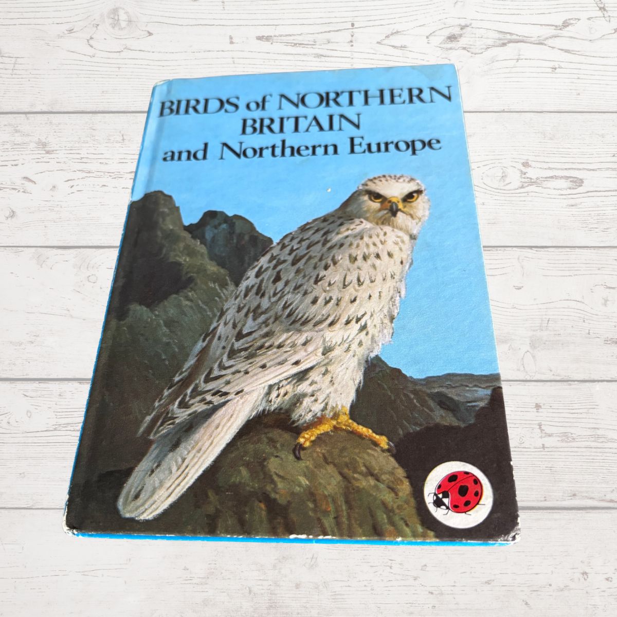 Vintage hardcover book titled 'Birds of Northern Britain and Northern Europe' featuring a large illustration of a bird of prey on the cover, photographed on a light wood surface.