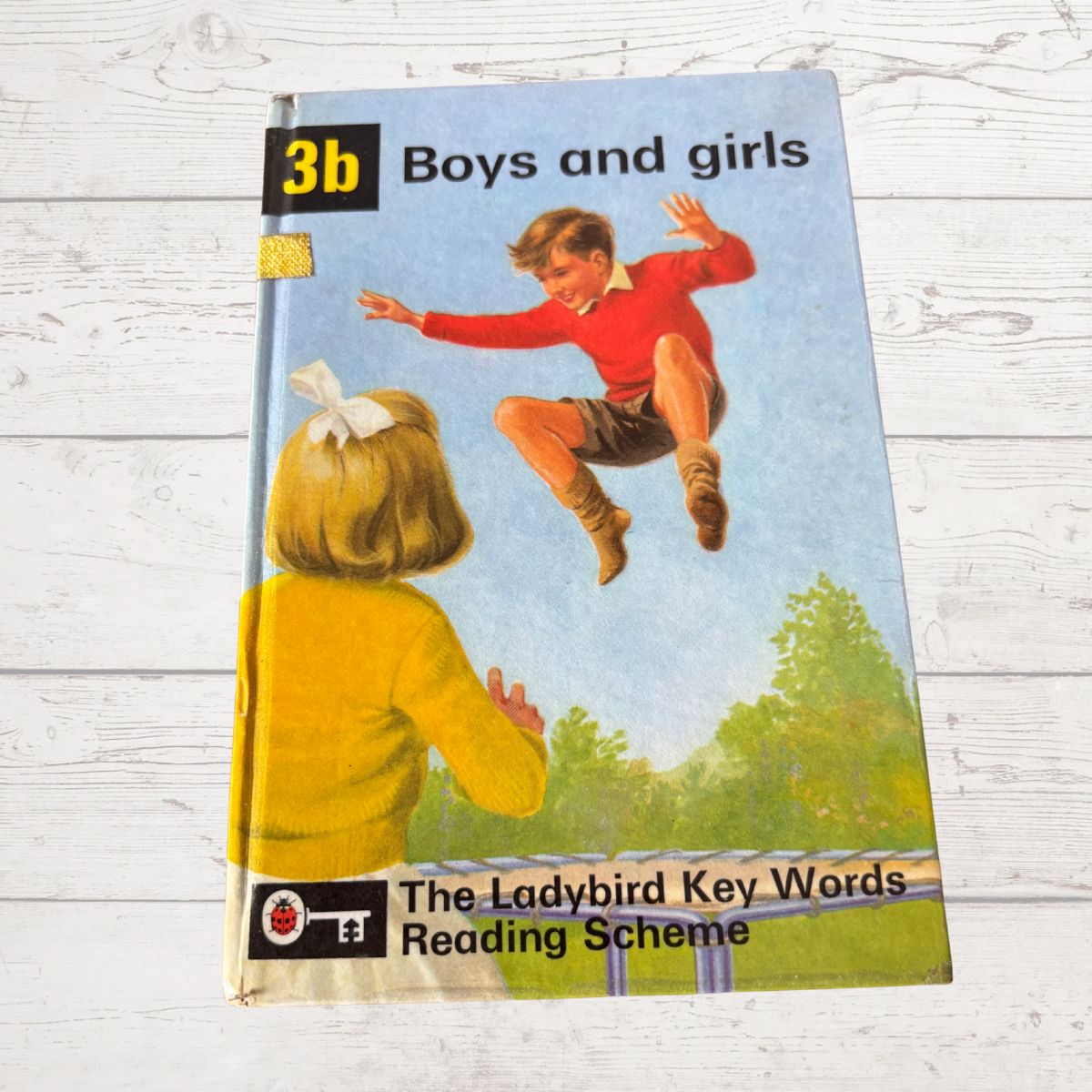 Book cover with illustration of a boy and girl, titled 'Boys and girls' from The Ladybird Key Words Reading Scheme.