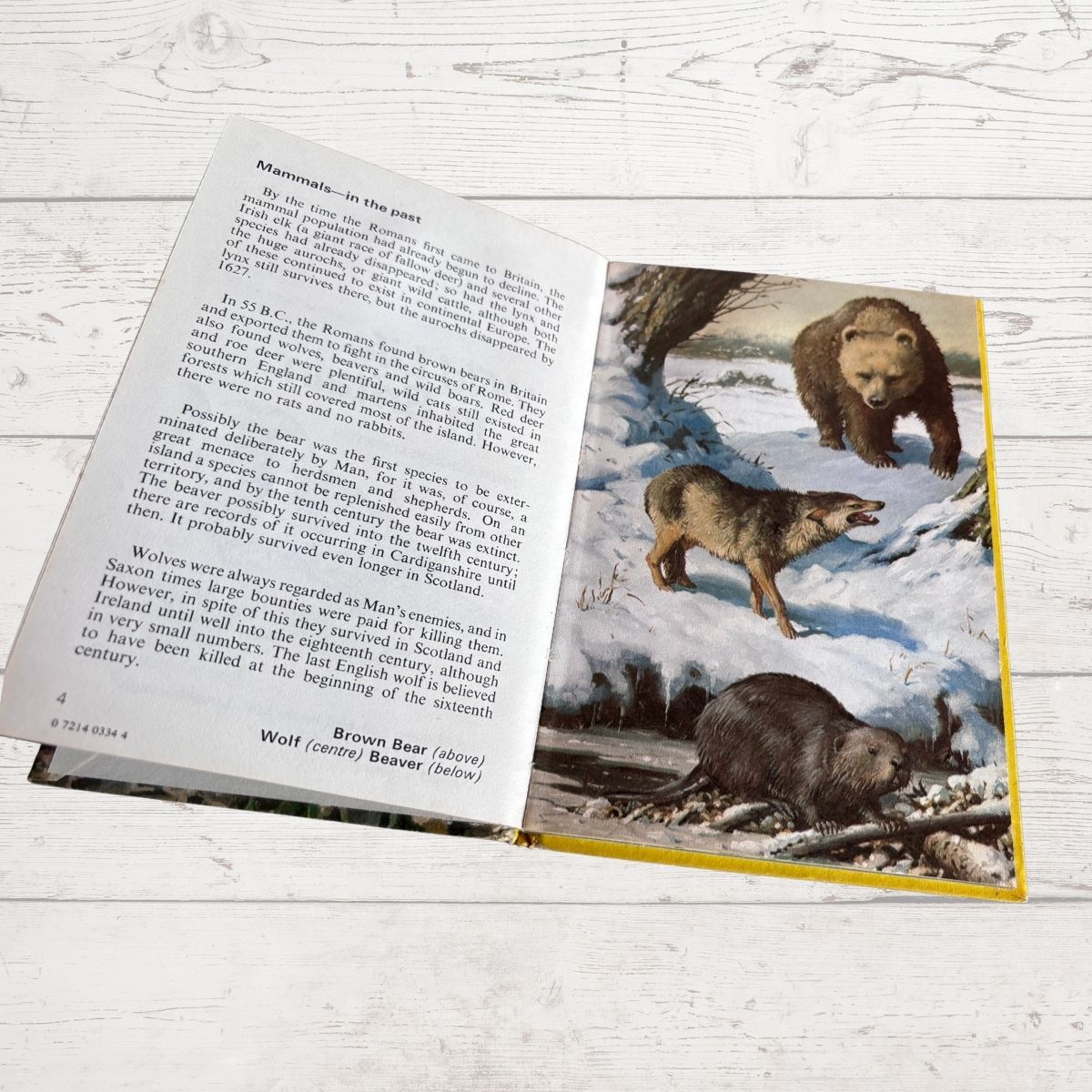 Vintage 1970s book, Wild Life in Britain. A Ladybird  Conservation Book. Series 727