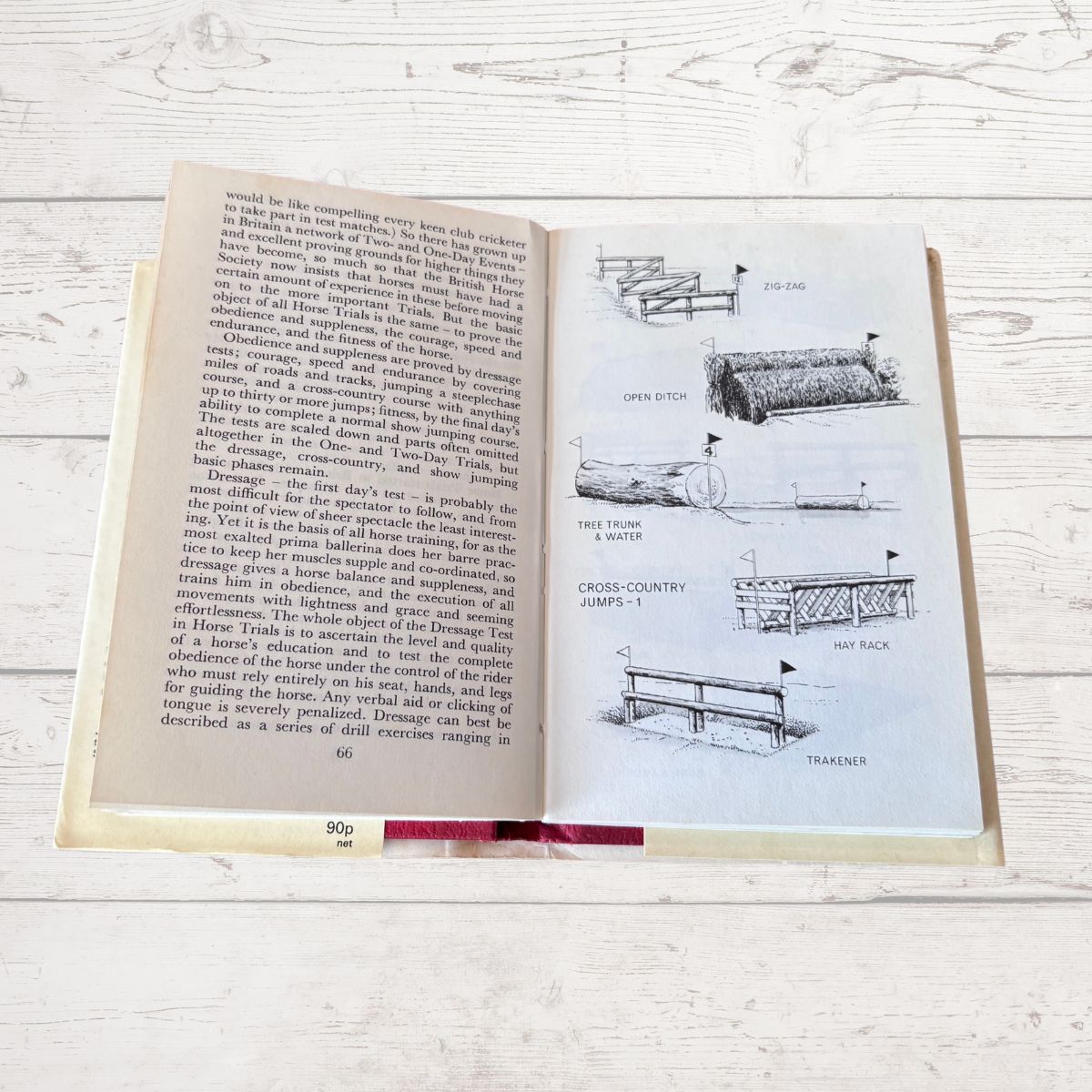 Open book with sketches of show jumping fences 