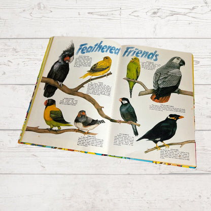 Vintage Beezer Book 1985. Children’s comic annual. Great nostalgic gift idea.