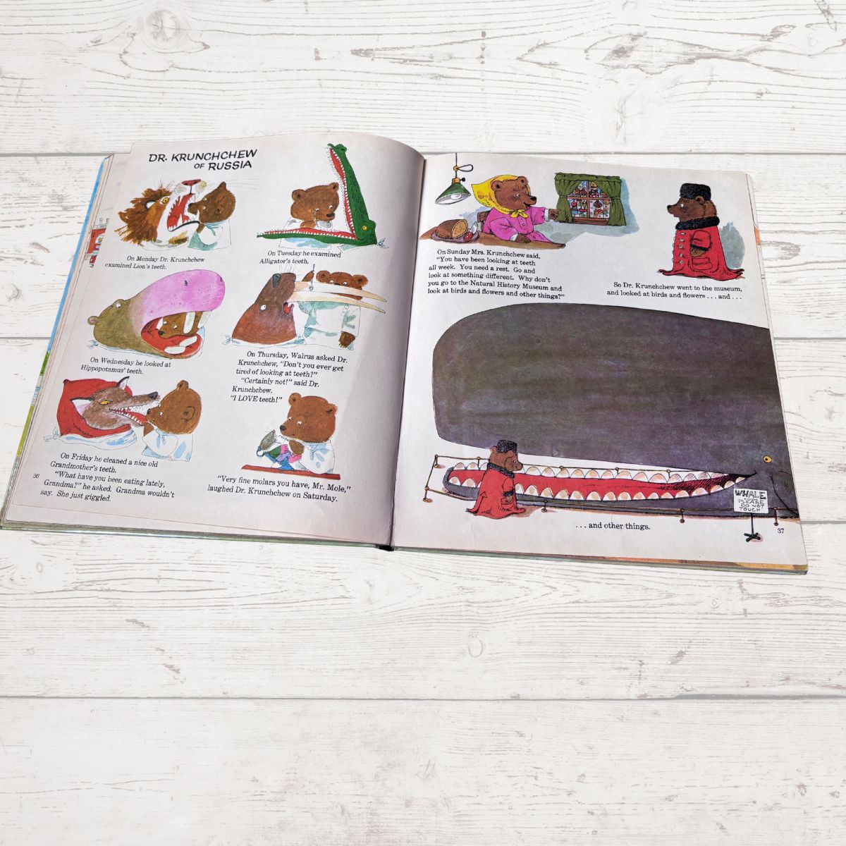 Open book with illustrations on a wooden surface