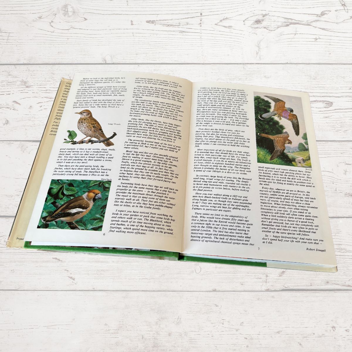 Open book with illustrations of birds on a wooden surface