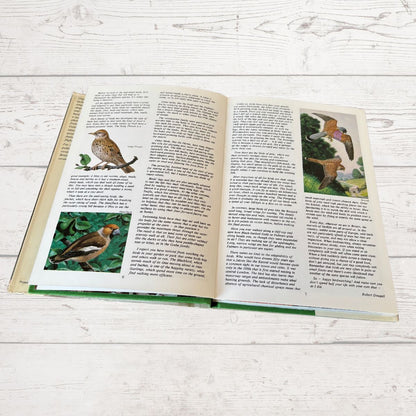 Open book with illustrations of birds on a wooden surface