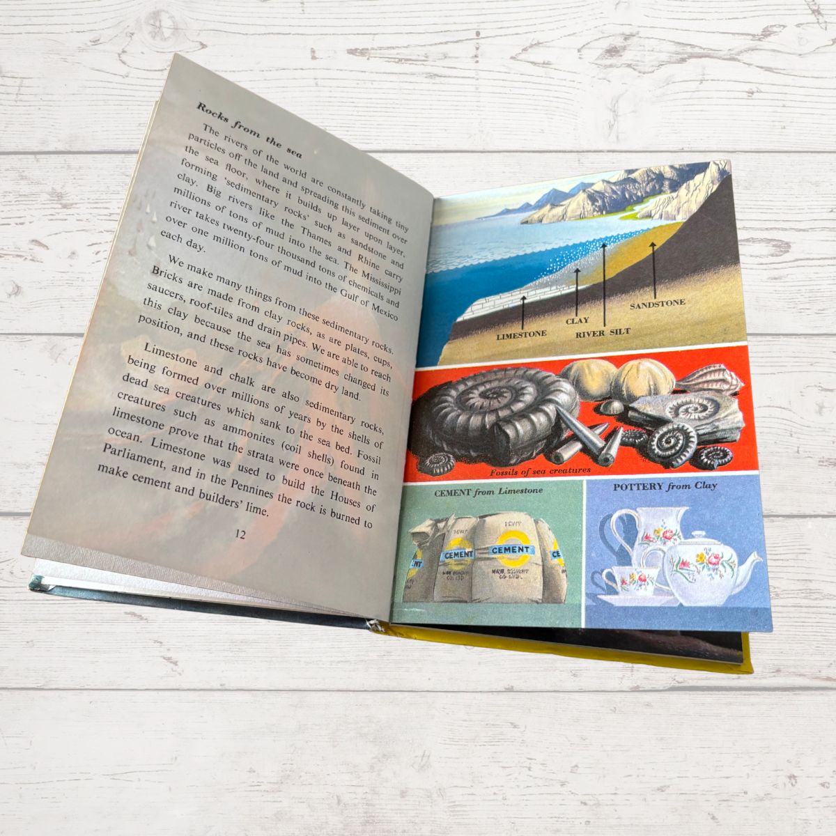 Open book with educational illustrations on a wooden surface