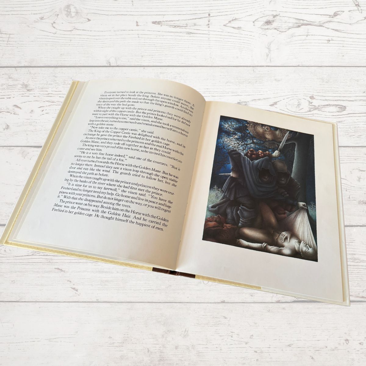 An open hardcover book laid flat on a white wood surface, showing printed text on the left page and a fantasy-style illustration on the right page.