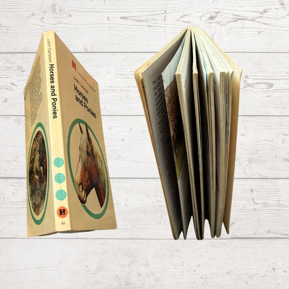 A vintage hardcover book titled 'Horses and Ponies' by John Groom, shown standing upright on its side to display both the tan cover with horse illustration and the open interior pages, set against a light gray wood plank background.