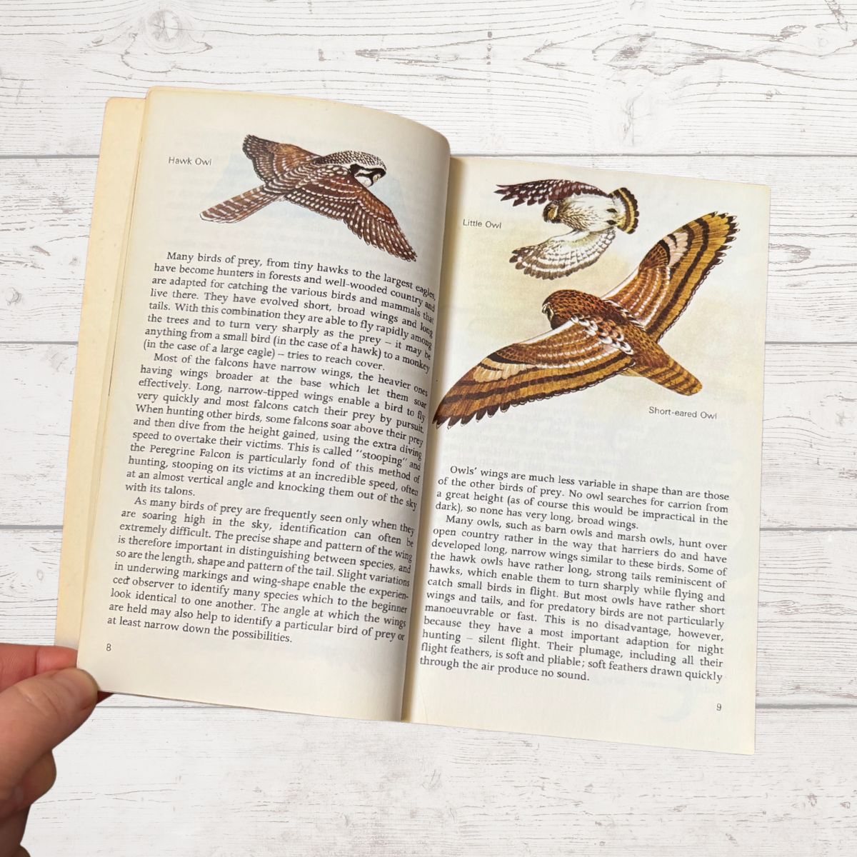 An open book showing printed text and two bird illustrations, held by a hand against a whitewashed wood background.