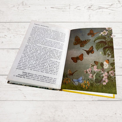 Vintage 1970s book, Wild Life in Britain. A Ladybird  Conservation Book. Series 727