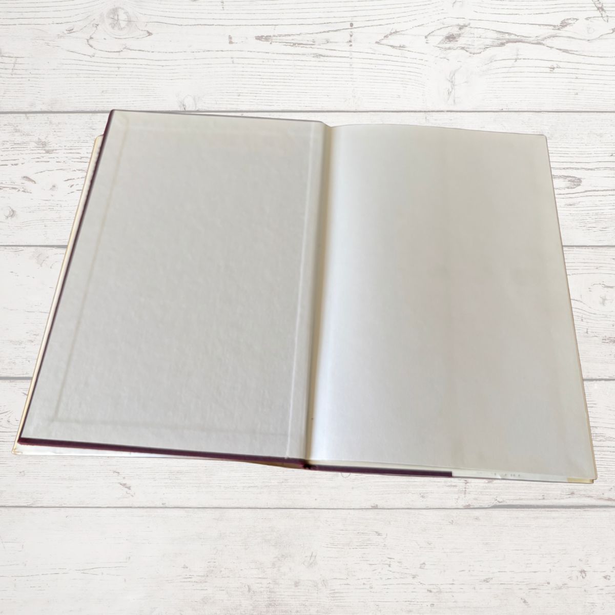An open blank book with cream-colored pages, displayed flat on a light whitewashed wooden surface.