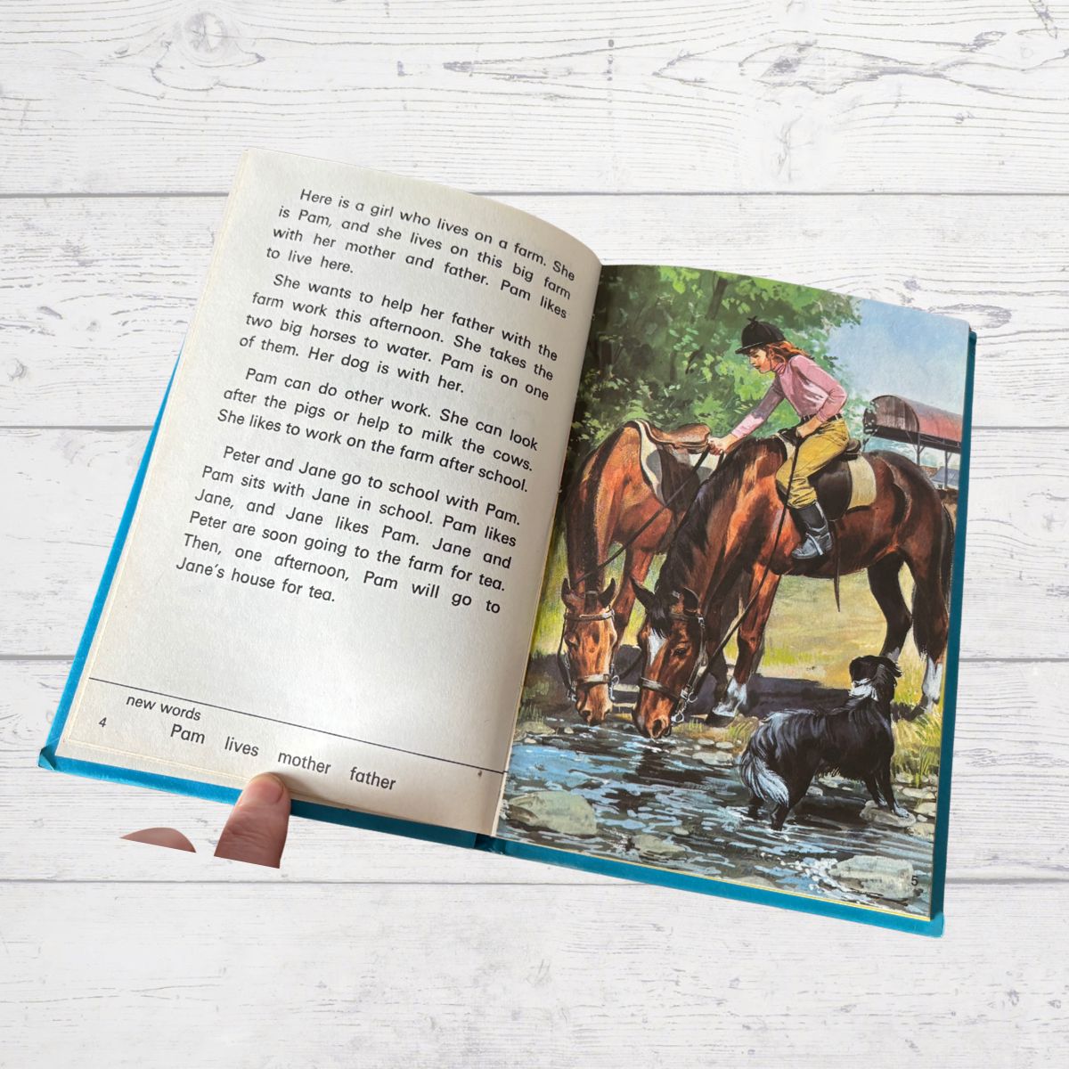 Open book showing a page with a illustration of a girl on a horse and text on a wooden surface.