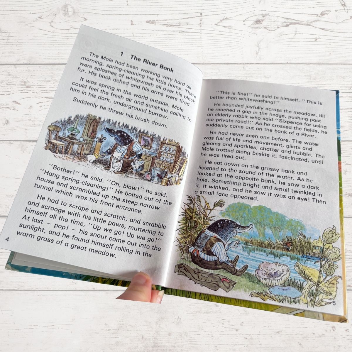 The Wind in the Willows.Ladybird Children’s Classics Vintage Book .Series 740. Nostalgic gift idea