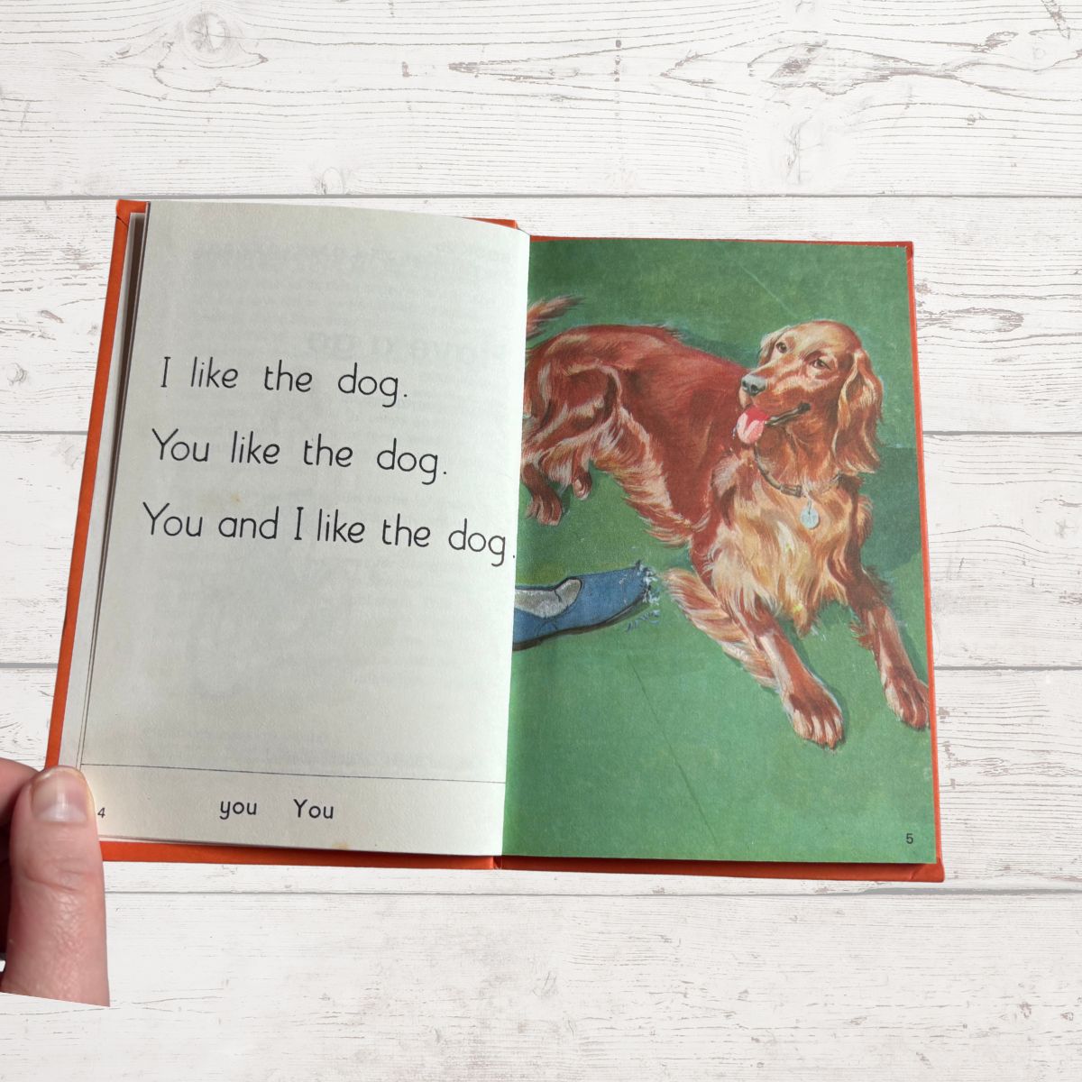 Open book with a dog illustration and text on a wooden surface