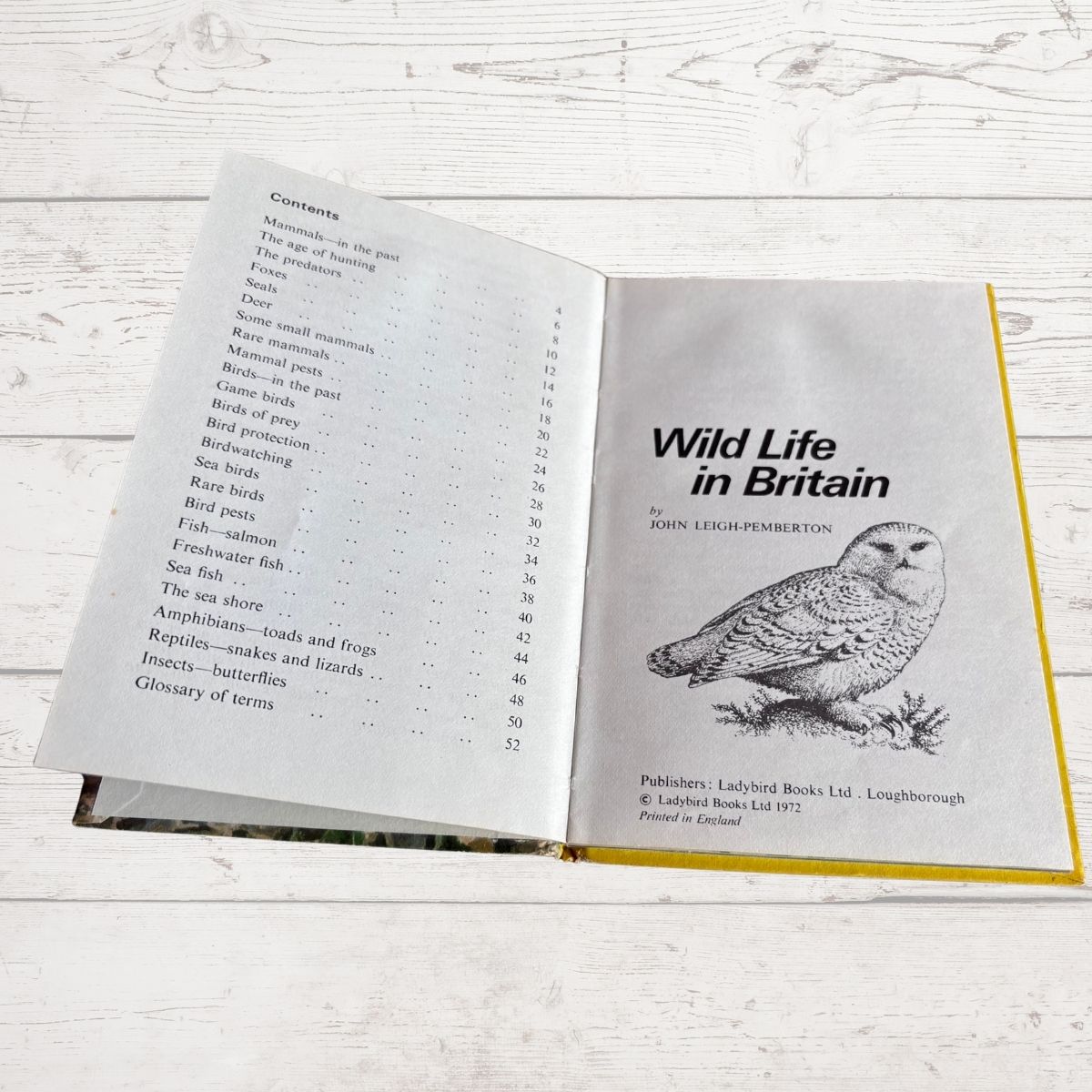 Vintage 1970s book, Wild Life in Britain. A Ladybird  Conservation Book. Series 727