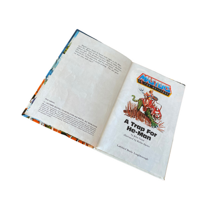 Small hardback book with glossy cover - He-Man Masters of the Universe