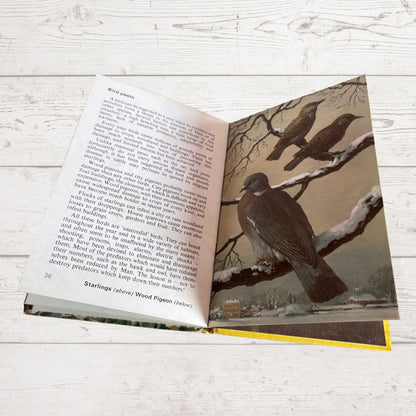 Vintage 1970s book, Wild Life in Britain. A Ladybird  Conservation Book. Series 727