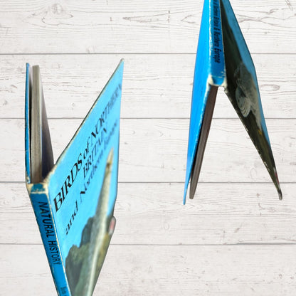 A vintage hardcover book titled 'Birds of Northern Britain and Northern IEurope ' by Natural History, shown standing open on a white wood plank background.