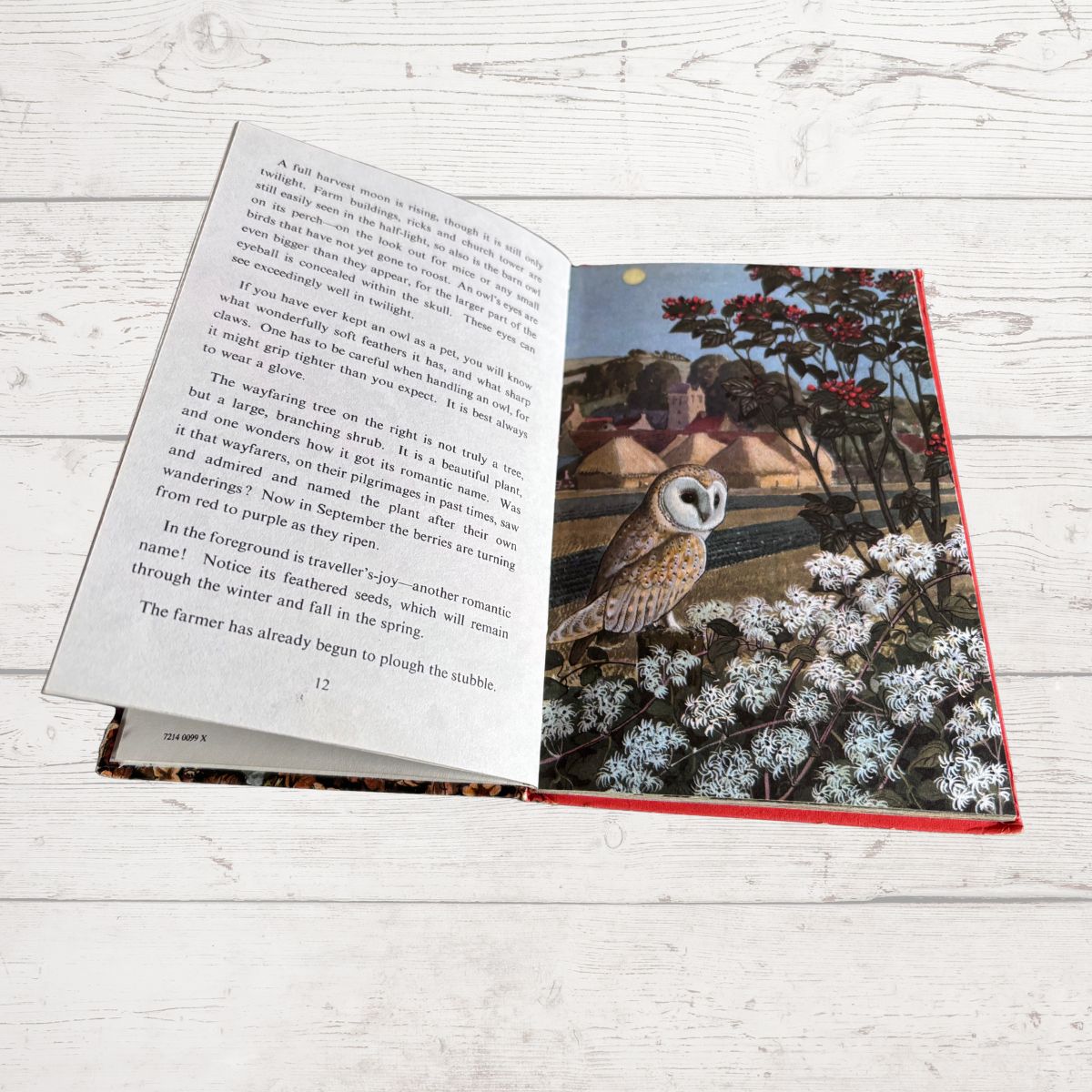 An open hardcover book lying on a white wood surface, showing printed text on the left page and a colorful landscape illustration on the right page with a farmer, oxen, trees, and flowers.