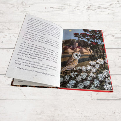 An open hardcover book lying on a white wood surface, showing printed text on the left page and a colorful landscape illustration on the right page with a farmer, oxen, trees, and flowers.