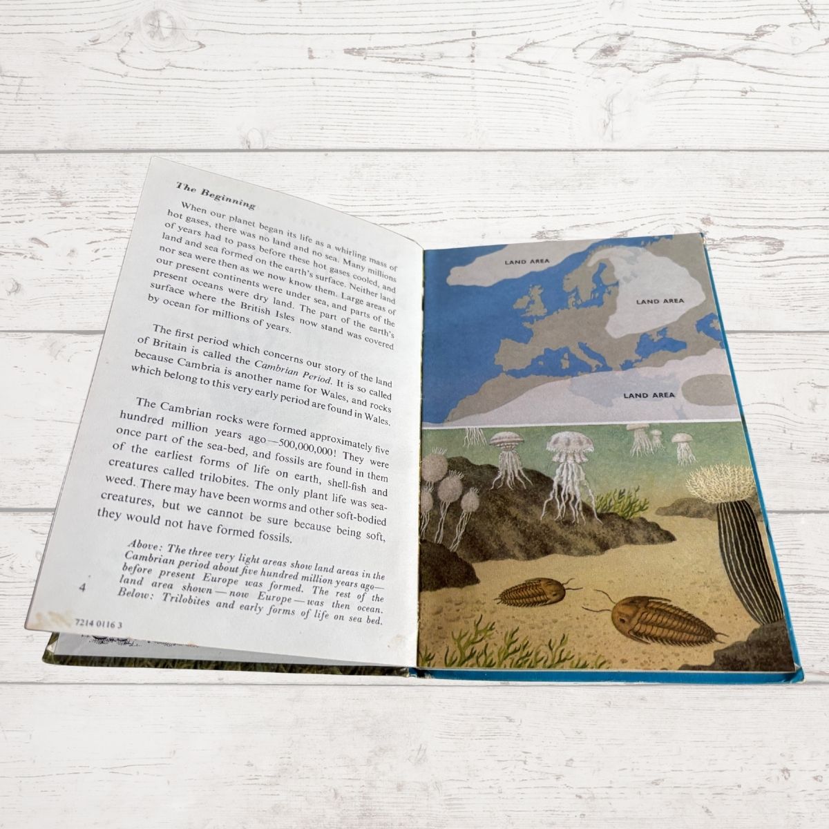 An open children's book spread on a white wood surface, showing printed text on one page and a map of Europe on the other, with a colorful cover visible along the right edge.