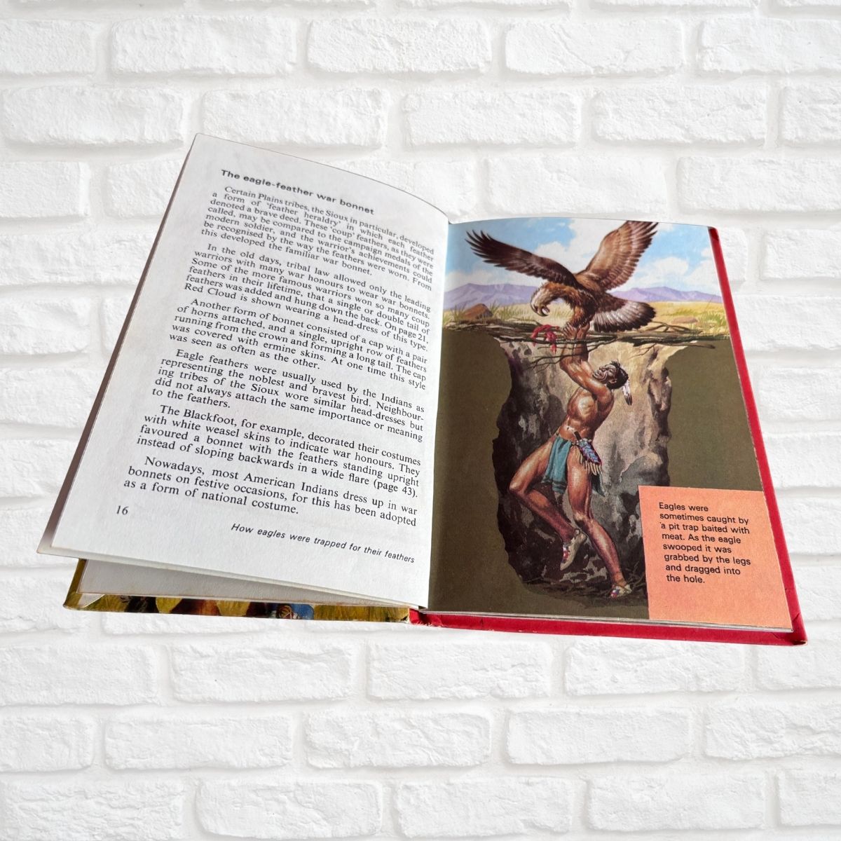 An open book showing printed text on one page and a colorful illustration of a Native American figure reaching to a eagle perched above a cliff on the other page, photographed against a white brick wall background.