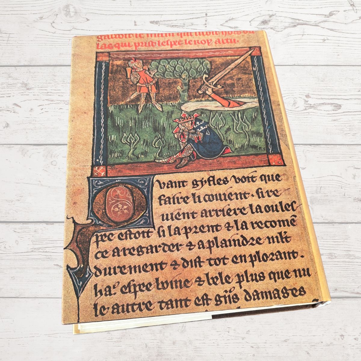 Decorative book cover with medieval-style illustration and text on a wooden surface