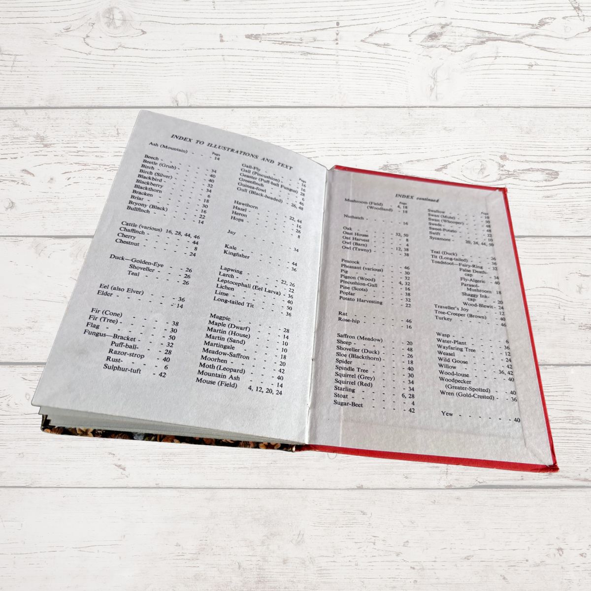 An open vintage book showing the index
