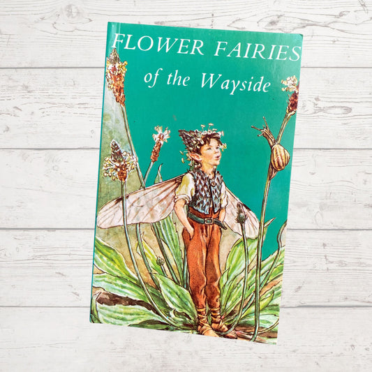 Flower Fairies of the wayside, 1970s edition by Cicely M Barker. Great gift idea