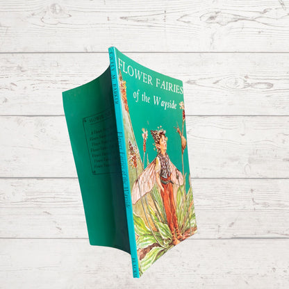 Flower Fairies of the wayside, 1970s edition by Cicely M Barker. Great gift idea