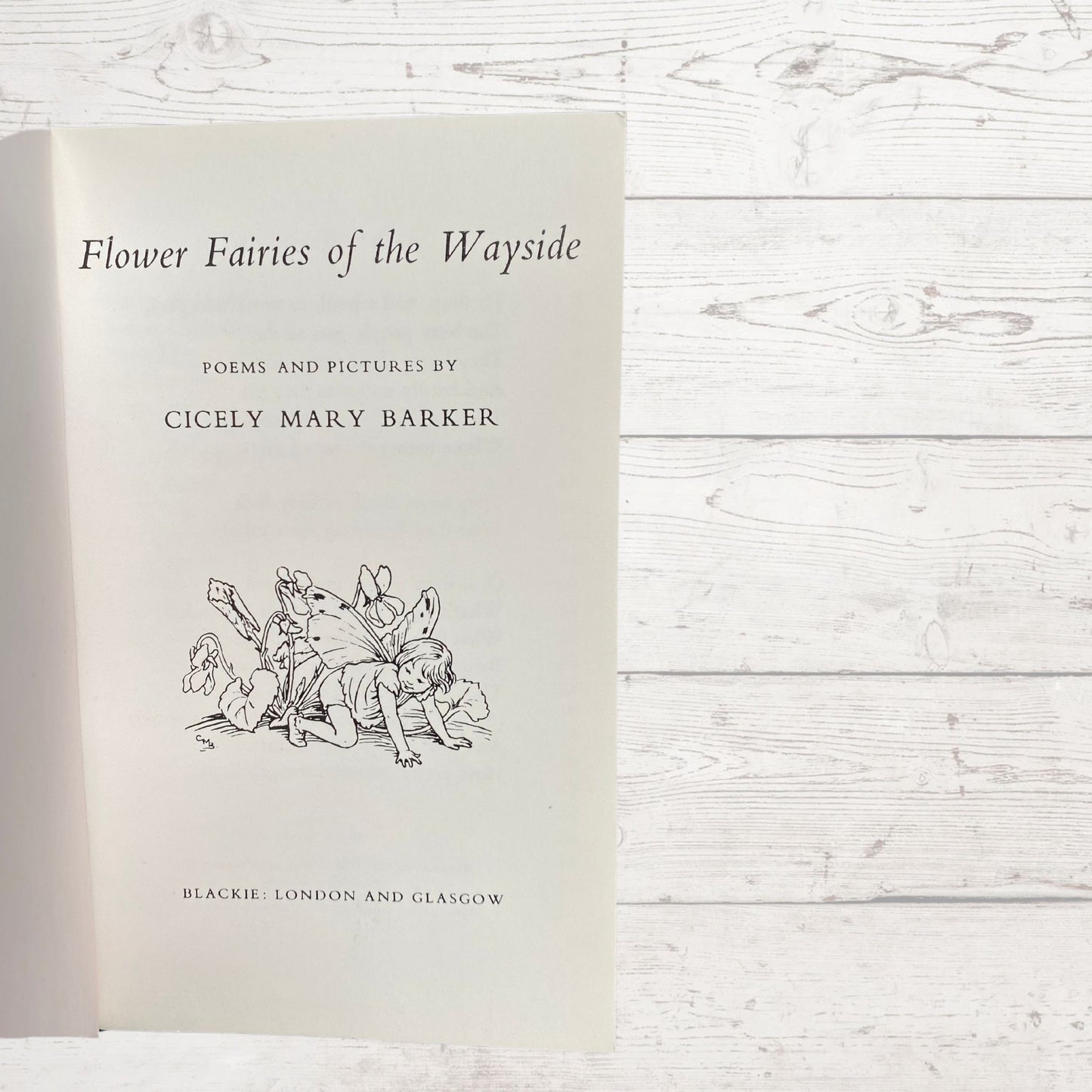Flower Fairies of the wayside, 1970s edition by Cicely M Barker. Great gift idea