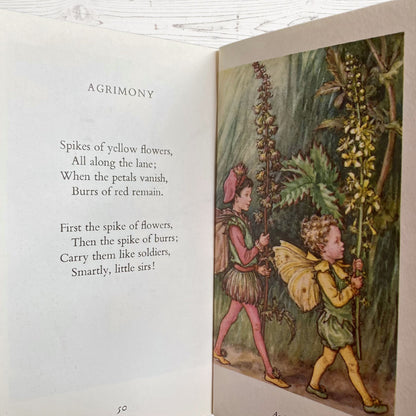 Flower Fairies of the wayside, 1970s edition by Cicely M Barker. Great gift idea