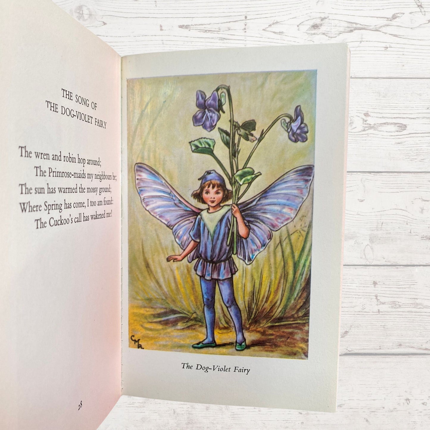Flower Fairies of the Spring, 1970s edition by Cicely M Barker. Great gift idea