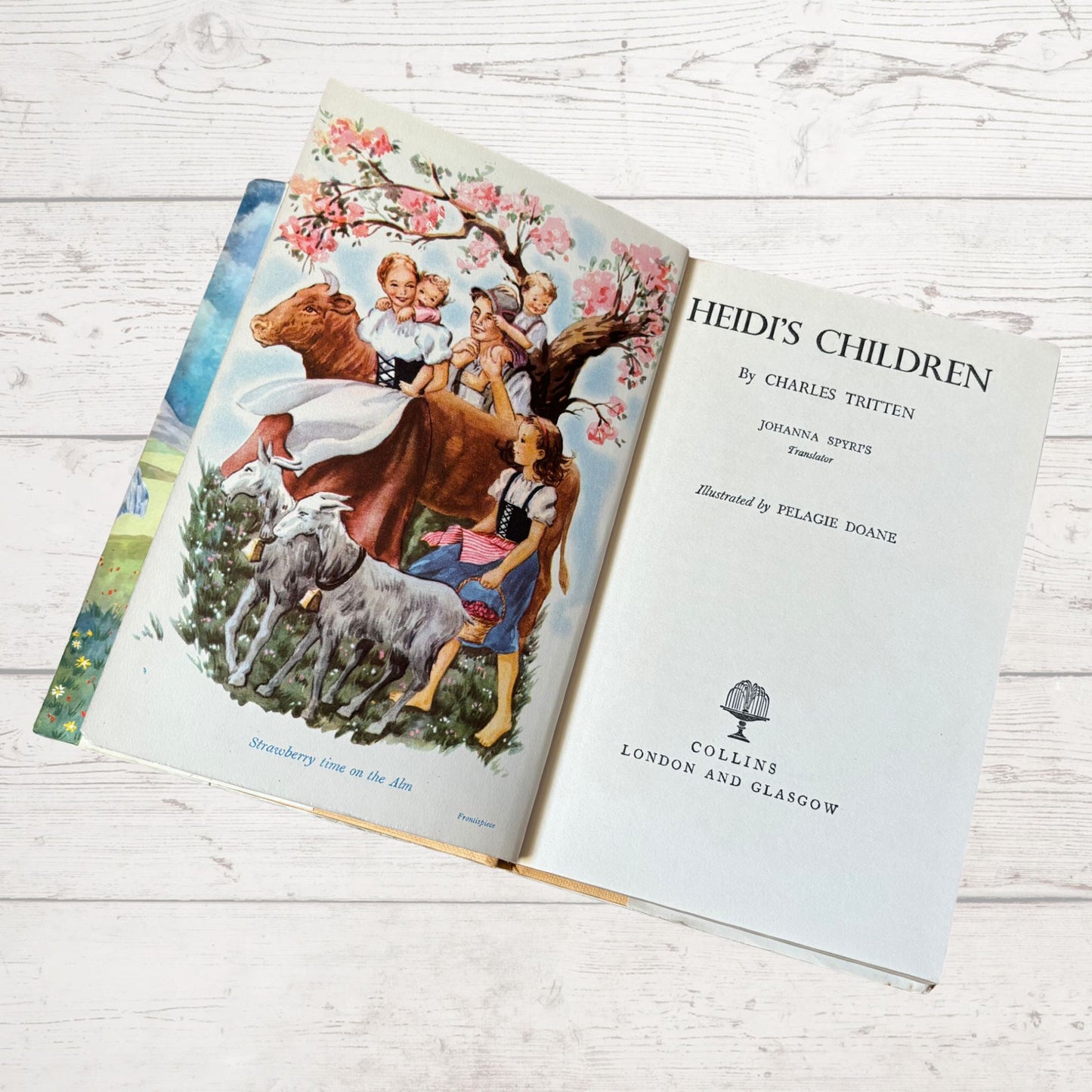 Heidi's Children: 1960s Hardcover Book with Original Dust Jacket