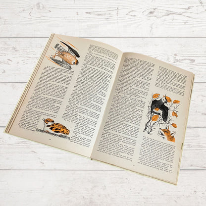 Vintage Mandy Annual 1976, full of fiction, activities and fun. Great gift idea