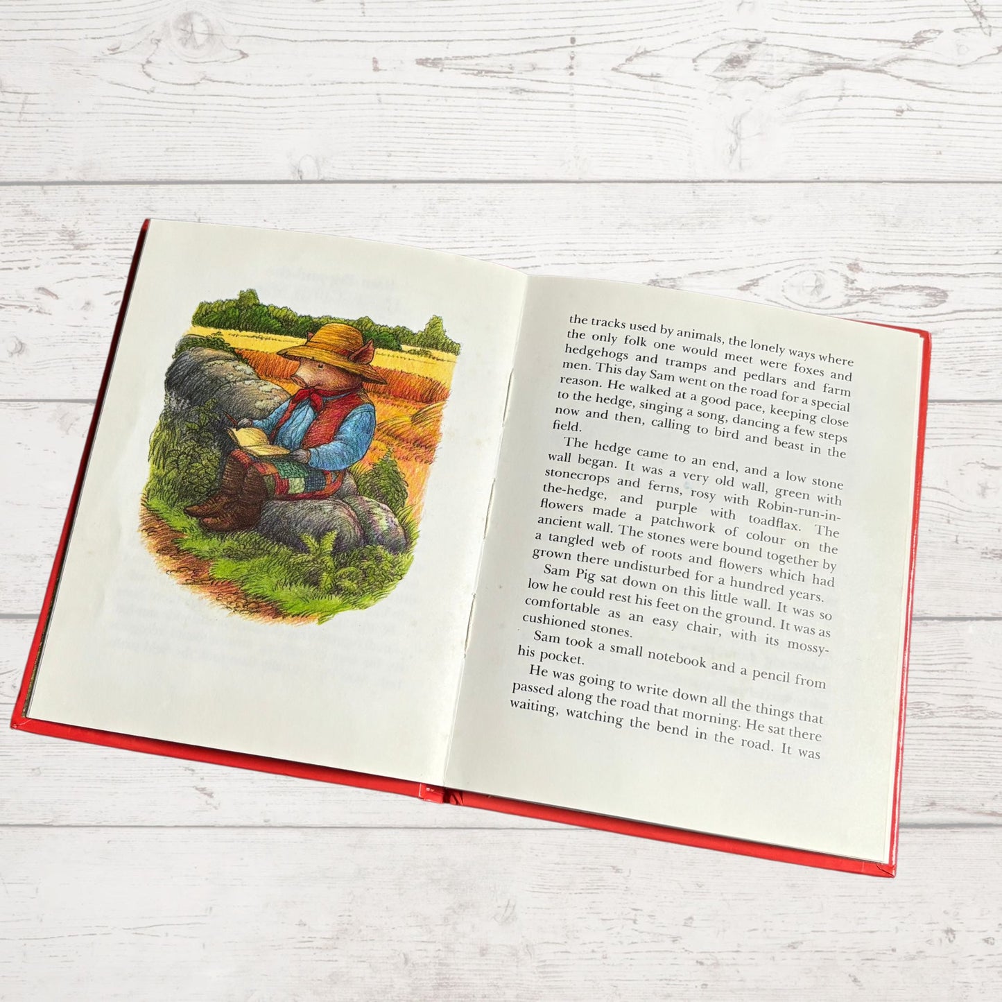 Vintage Hardback: The Adventures of Sam Pig - Sam Pig and the Hurdy-Gurdy Man  by Alison Uttley, Illustrated by Graham Percy
