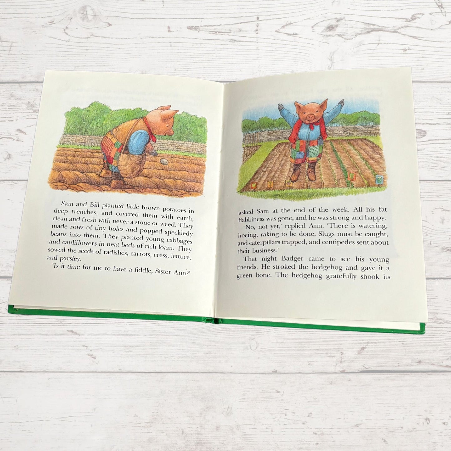 Vintage Hardback: The Adventures of Sam Pig - Sam Pig and his Fiddle by Alison Uttley, Illustrated by Graham Percy