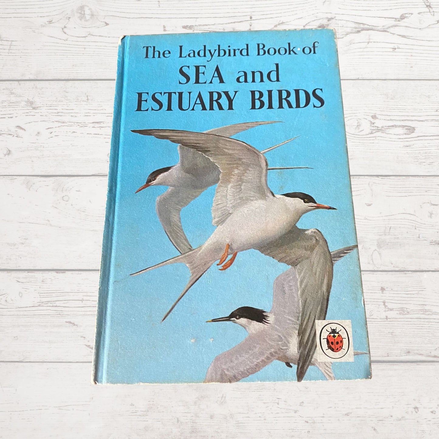 Vintage 1960s Ladybird Book: Sea and Estuary Birds, Series 536 - Illustrated Guidebook. Great gift idea