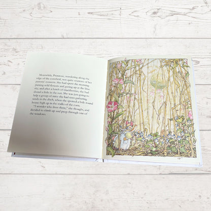 Brambly Hedge, Autumn Story  by Jill Barklem. 1995 edition. Vintage  children’s hardback picture book. Great gift idea