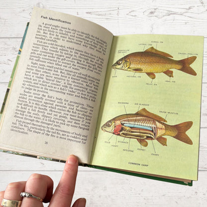 Open book with illustrations of fish and text on a wooden surface