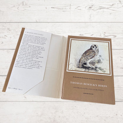 Open book with an illustration of an owl on a wooden surface