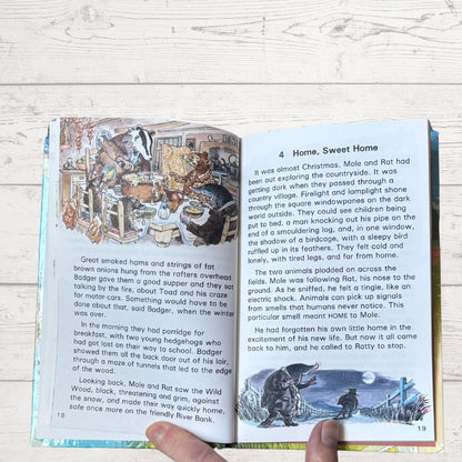 Open book with illustrations and text on a wooden surface