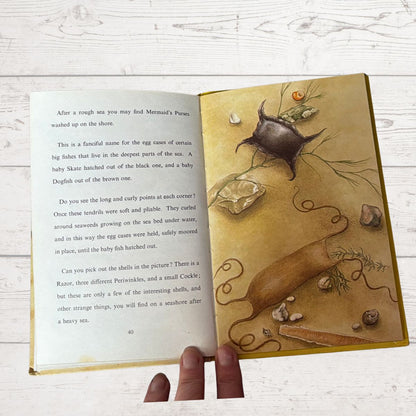 Open book with decorative cover featuring marine life illustration on a wooden surface.