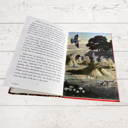 An open children's picture book lying flat on a white wood surface. The left page shows printed text about autumn hunting, and the right page features an illustrated scene of a bird hunting in a field with mushrooms.