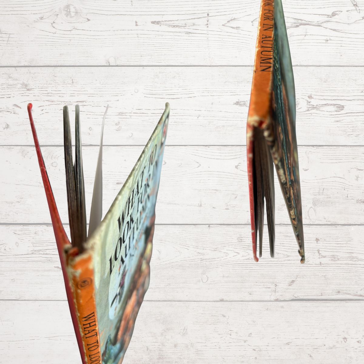 Vintage illustrated book with orange and green covers displayed against a white wood plank background.