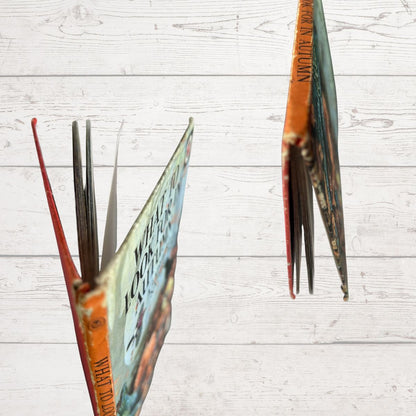 Vintage illustrated book with orange and green covers displayed against a white wood plank background.